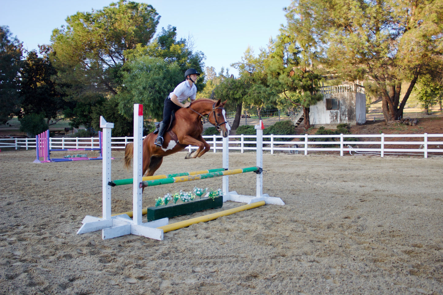 Horseback Riding in Agoura Hills! Trail Ride or Private Lessons Plus $20 Gift Card Just $67 at Horsemanship Redefined. (Value $145) All Levels! May Buy Three Per Person.