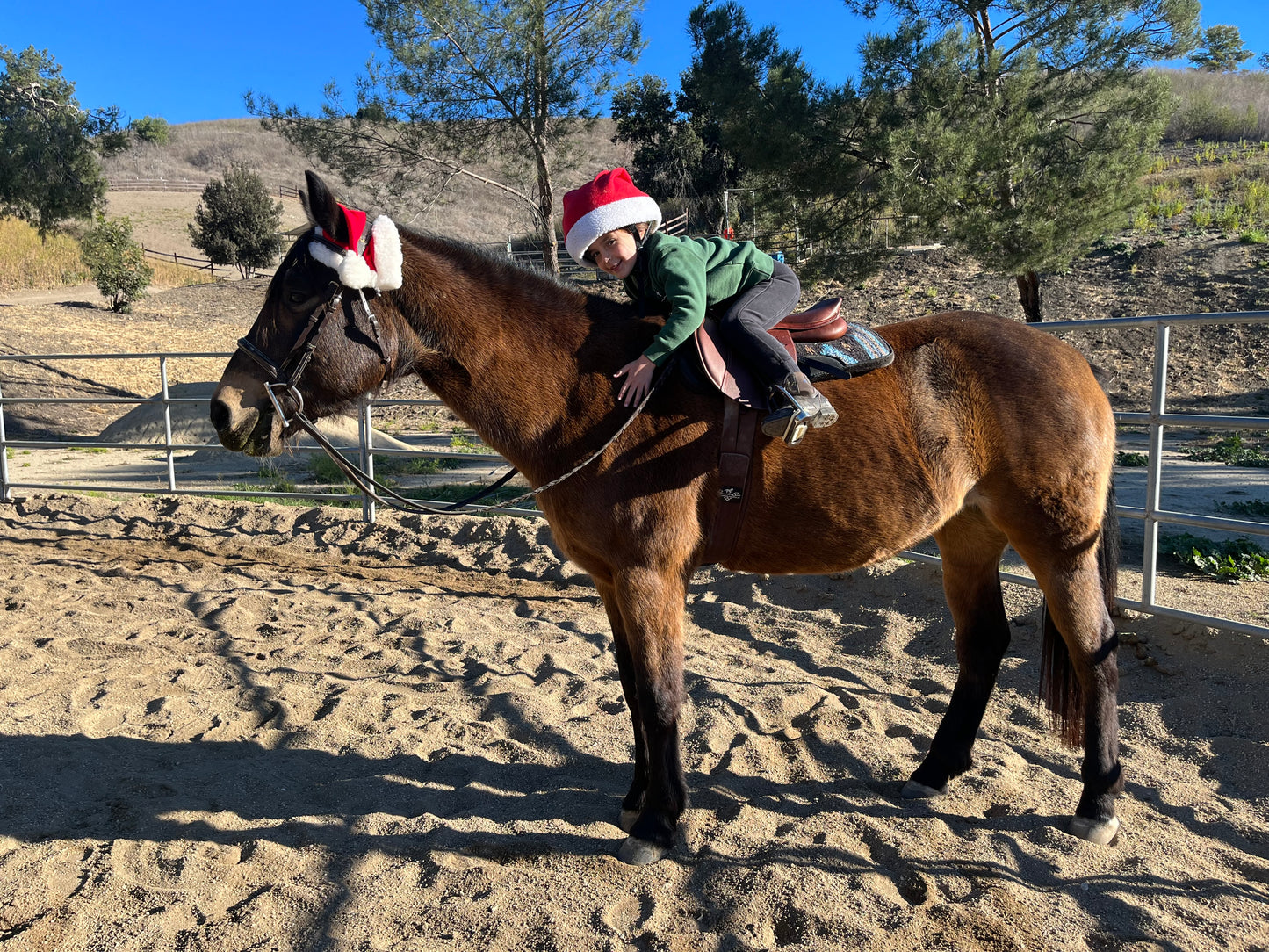 Horseback Riding in Agoura Hills! Trail Ride or Private Lessons Plus $20 Gift Card Just $67 at Horsemanship Redefined. (Value $145) All Levels! May Buy Three Per Person.