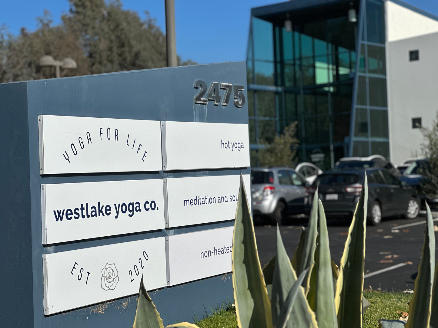 Westlake Yoga Co.! Get One Month of UNLIMITED Classes Starting at Just $79! (Value $199-$239) Great Gift For the Yogi in Your Life!