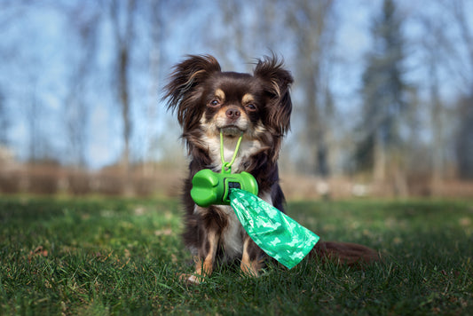 Pet Poop Pick-up by Happy Hounds Pet Waste Removal. One Visit for $12 or Get 4 Consecutive Weeks for Only For $39!