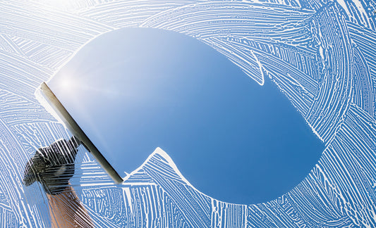 Interior and Exterior Window Cleaning INCLUDING Screens With Executive Window Cleaning PLUS Gift Card!