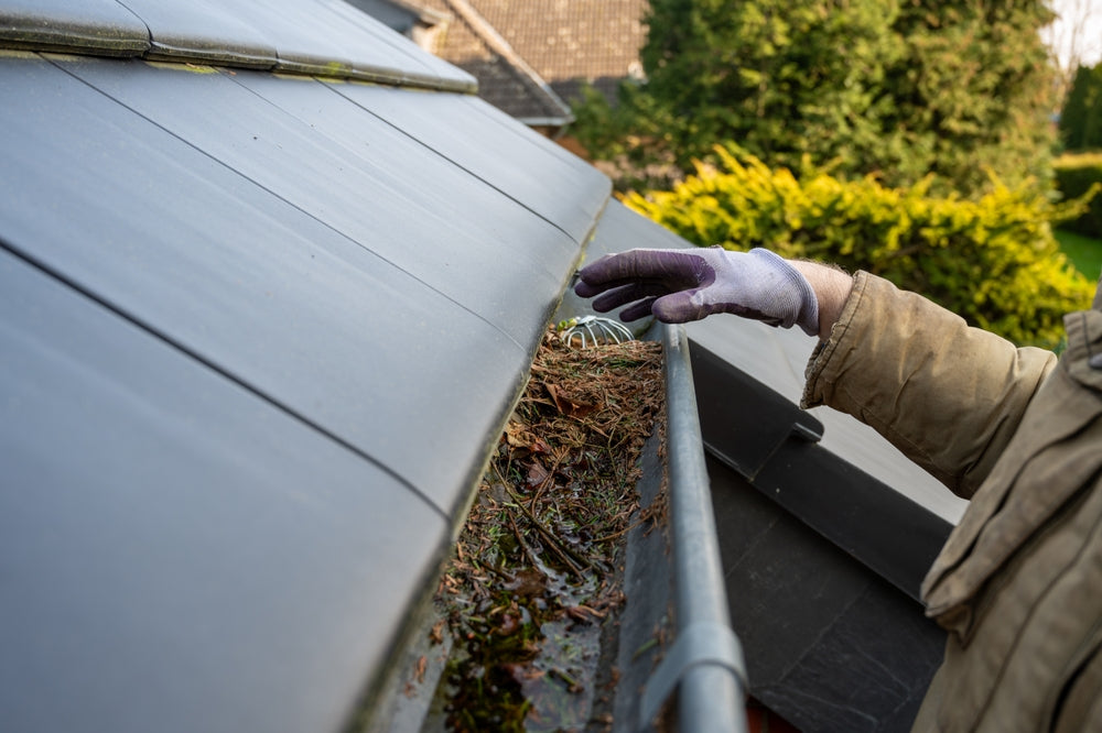 Gutter Cleaning Plus Downspout Flushing! Rainy Season = Gutter Cleaning Season! One or Two Story Homes!